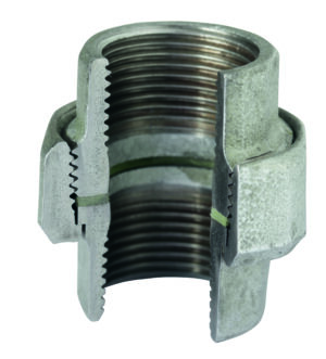 Atusa horganyzott bb hollander